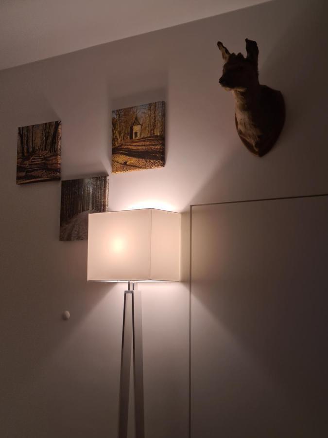 Terrasses De Malmedy - Duplex "Happiness" - Pellet & Airco- Lejlighed Eksteriør billede
